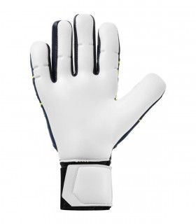 Prediction Absolutgrip HN