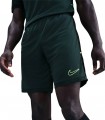 Nike Academy