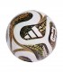 WC Final LGE